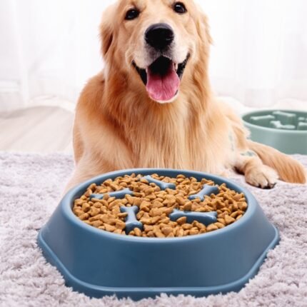 Pet Feeding Food Bowls Anti Choking Slow Feeder PP Plastic Dish Bowl Home Dog Eating Plate Anti Gulping Bowl Supplies